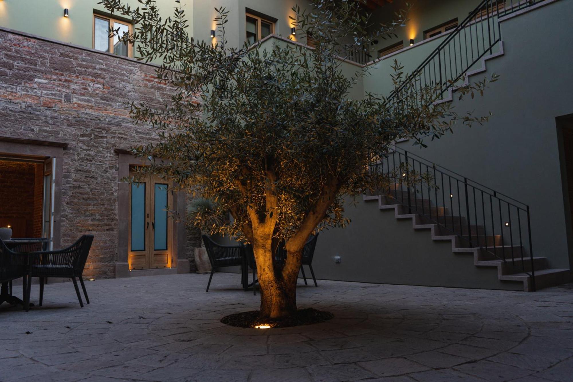 Hotel Casa Aranzazu Σαν Λουίς Ποτοσί Εξωτερικό φωτογραφία
