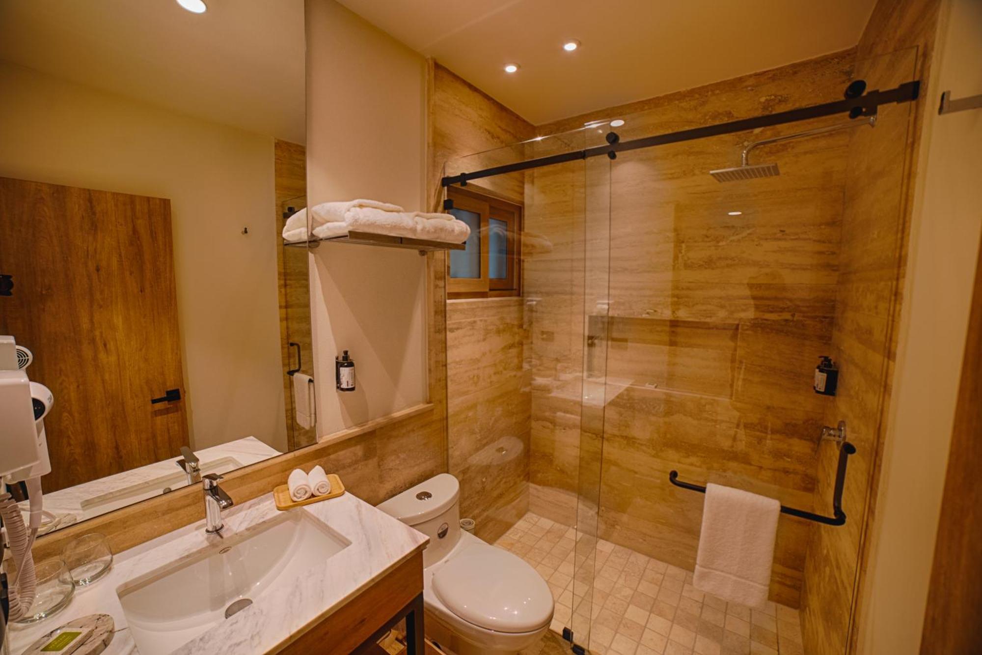 Hotel Casa Aranzazu Σαν Λουίς Ποτοσί Εξωτερικό φωτογραφία